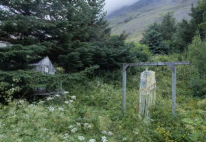 Rivulets (installation view)