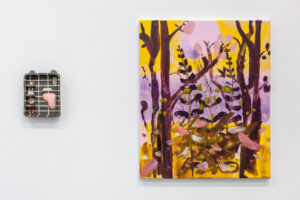 Plashy, New Jörg, Installation View