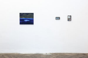 Plashy, New Jörg, Installation View